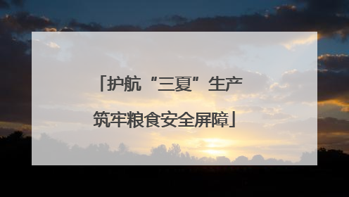 护航“三夏”生产 筑牢粮食安全屏障