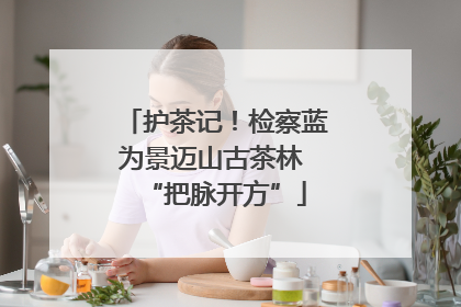 护茶记！检察蓝为景迈山古茶林 “把脉开方”