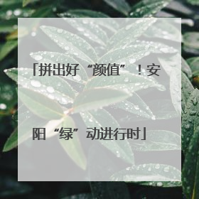 拼出好“颜值”！安阳“绿”动进行时