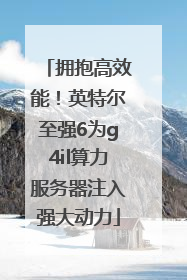 拥抱高效能！英特尔至强6为g4il算力服务器注入强大动力