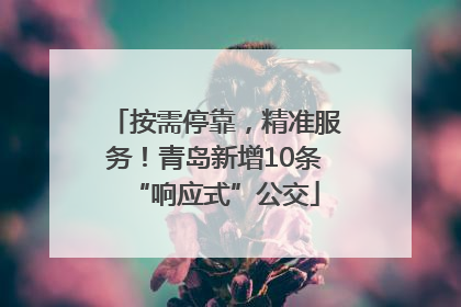 按需停靠，精准服务！青岛新增10条“响应式”公交