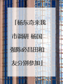 杨东奇来我市调研 杨国强陈必昌田和友分别参加