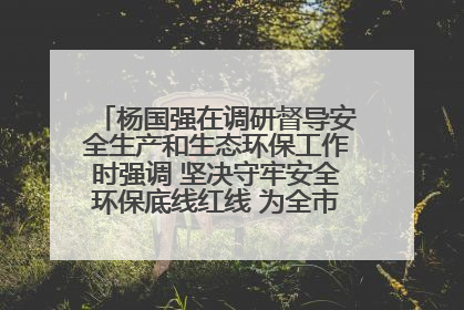 杨国强在调研督导安全生产和生态环保工作时强调 坚决守牢安全环保底线红线 为全市经济社会高质量发展提供坚强保障