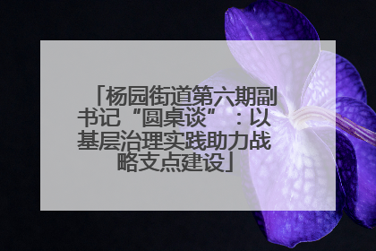 杨园街道第六期副书记“圆桌谈”：以基层治理实践助力战略支点建设