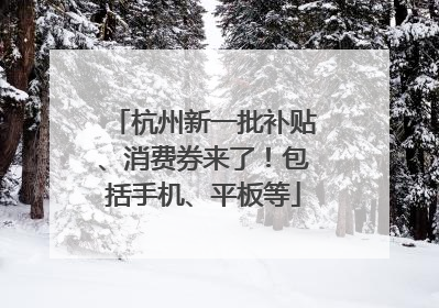 杭州新一批补贴、消费券来了！包括手机、平板等