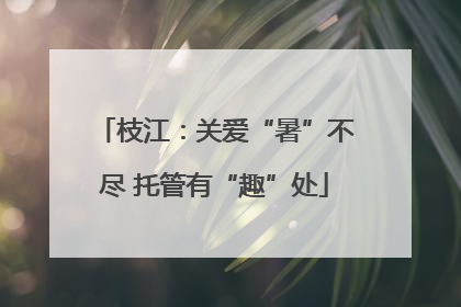 枝江：关爱“暑”不尽 托管有“趣”处