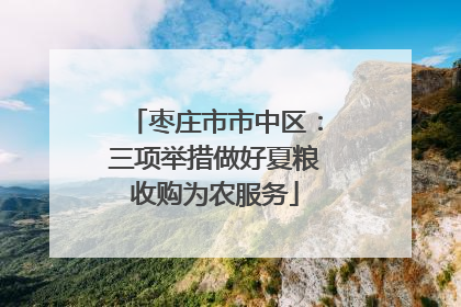 枣庄市市中区：三项举措做好夏粮收购为农服务