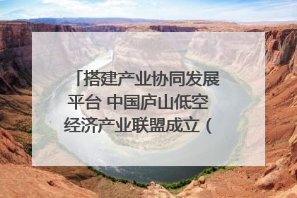 搭建产业协同发展平台 中国庐山低空经济产业联盟成立（组图｜视频）