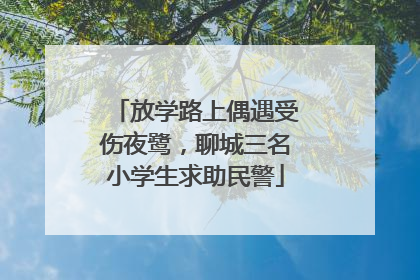 放学路上偶遇受伤夜鹭，聊城三名小学生求助民警