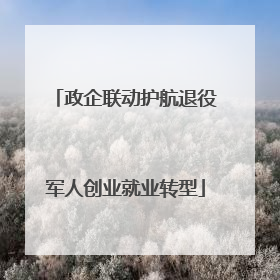 政企联动护航退役军人创业就业转型