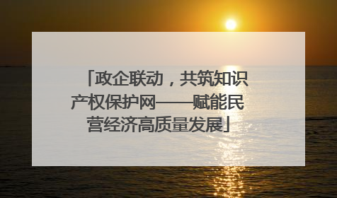 政企联动，共筑知识产权保护网——赋能民营经济高质量发展