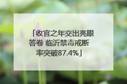 收官之年交出亮眼答卷 临沂禁毒戒断率突破87.4%