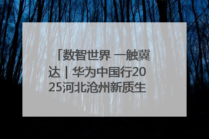数智世界 一触冀达｜华为中国行2025河北沧州新质生产力峰会成功举办