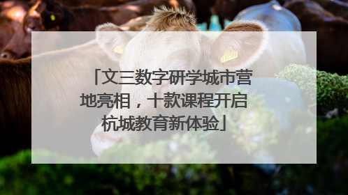文三数字研学城市营地亮相，十款课程开启杭城教育新体验