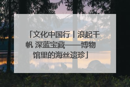 文化中国行丨浪起千帆 深蓝宝藏——博物馆里的海丝遗珍