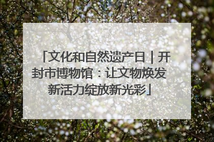 文化和自然遗产日｜开封市博物馆：让文物焕发新活力绽放新光彩