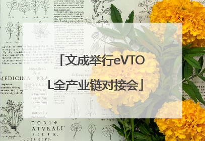 文成举行eVTOL全产业链对接会
