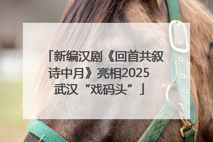 新编汉剧《回首共叙诗中月》亮相2025武汉“戏码头”