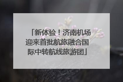新体验！济南机场迎来首批航旅融合国际中转航线旅游团