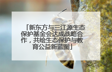 新东方与三江源生态保护基金会达成战略合作，共绘生态保护与教育公益新蓝图