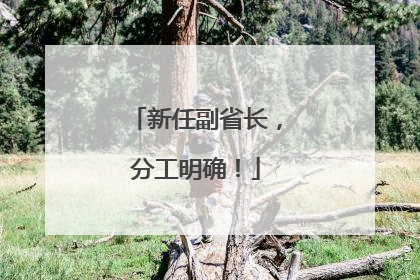 新任副省长，分工明确！