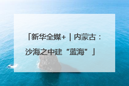新华全媒+｜内蒙古：沙海之中建“蓝海”