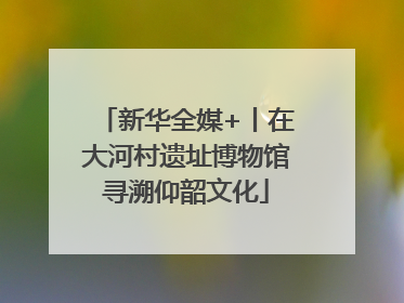 新华全媒+丨在大河村遗址博物馆寻溯仰韶文化
