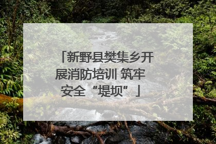 新野县樊集乡开展消防培训 筑牢安全“堤坝”
