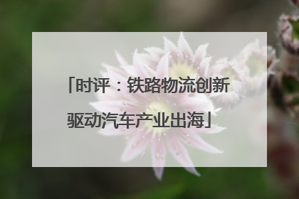 时评：铁路物流创新驱动汽车产业出海