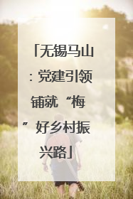 无锡马山：党建引领 铺就“梅”好乡村振兴路