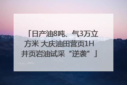 日产油8吨、气3万立方米 大庆油田营页1H井页岩油试采“逆袭”