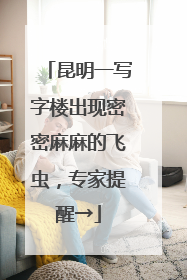 昆明一写字楼出现密密麻麻的飞虫，专家提醒→