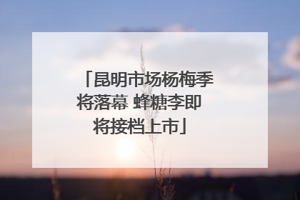 昆明市场杨梅季将落幕 蜂糖李即将接档上市