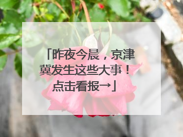 昨夜今晨，京津冀发生这些大事！点击看报→