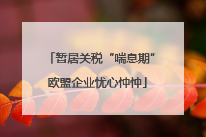 暂居关税“喘息期” 欧盟企业忧心忡忡
