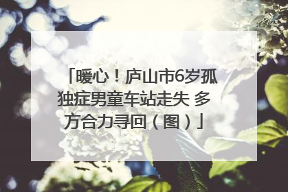 暖心！庐山市6岁孤独症男童车站走失 多方合力寻回（图）