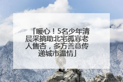 暖心！5名少年清晨采摘助北宅孤寡老人售杏，多方善意传递城市温情
