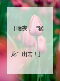 暗夜，“猛龙”出击！