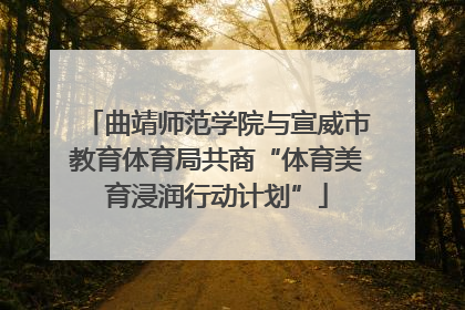 曲靖师范学院与宣威市教育体育局共商“体育美育浸润行动计划”