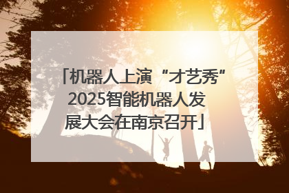 机器人上演“才艺秀” 2025智能机器人发展大会在南京召开