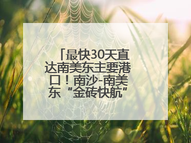 最快30天直达南美东主要港口！南沙-南美东“金砖快航”全面升级优化