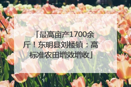 最高亩产1700余斤！东明县刘楼镇：高标准农田增效增收