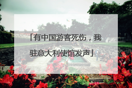 有中国游客死伤，我驻意大利使馆发声