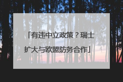 有违中立政策？瑞士扩大与欧盟防务合作
