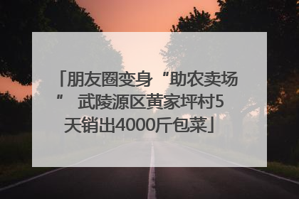 朋友圈变身“助农卖场” 武陵源区黄家坪村5天销出4000斤包菜