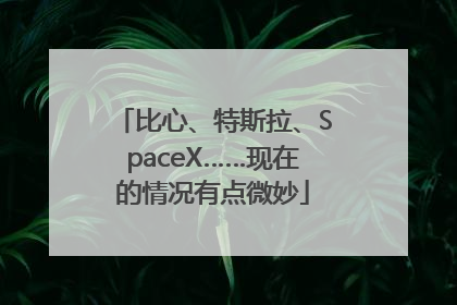 比心、特斯拉、SpaceX……现在的情况有点微妙