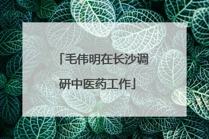 毛伟明在长沙调研中医药工作