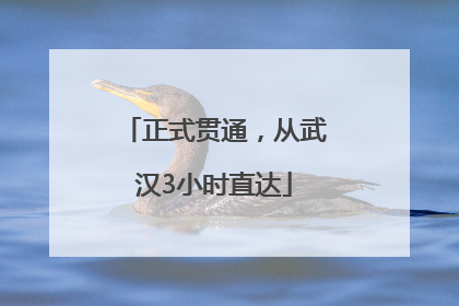 正式贯通，从武汉3小时直达