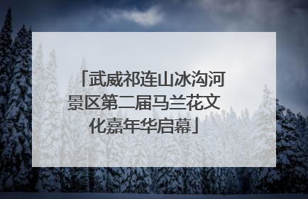 武威祁连山冰沟河景区第二届马兰花文化嘉年华启幕