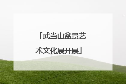 武当山盆景艺术文化展开展